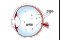 image.jpeg image.jpeg