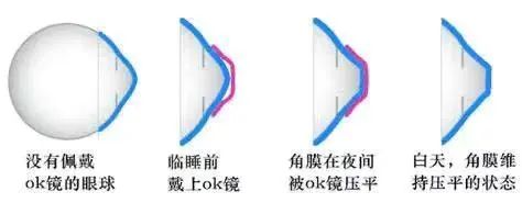 5a2dd0beaf2b769d39cbc0e90b6355cb.jpg 5a2dd0beaf2b769d39cbc0e90b6355cb.jpg