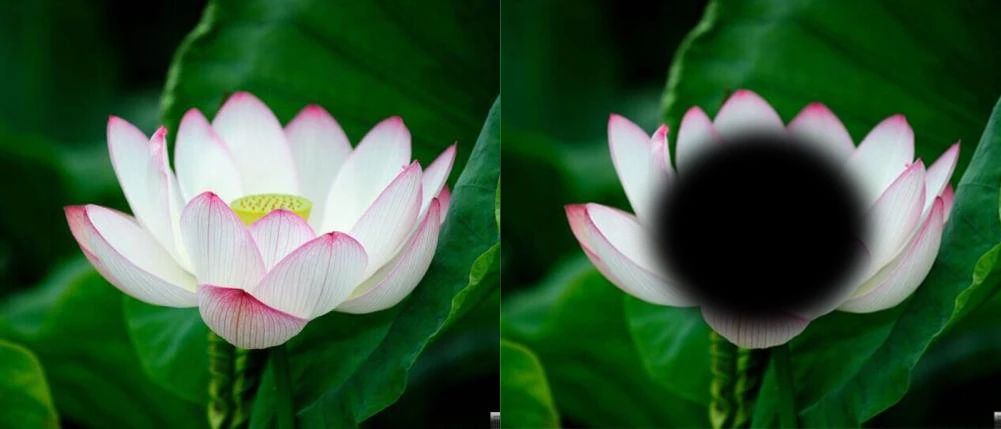 4fc4a1b12ac79c0cdaeb64799d8580dd.jpg 4fc4a1b12ac79c0cdaeb64799d8580dd.jpg