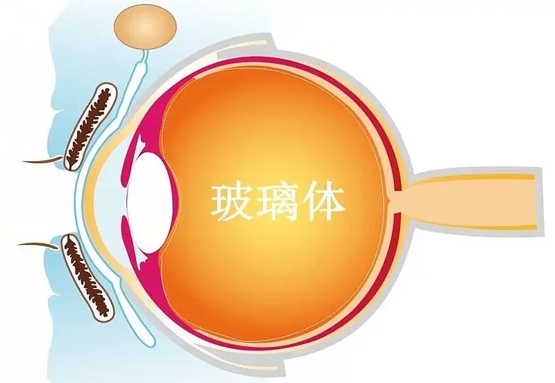 c8d5aa2e30e5dd65e6e943229beae651.png c8d5aa2e30e5dd65e6e943229beae651.png