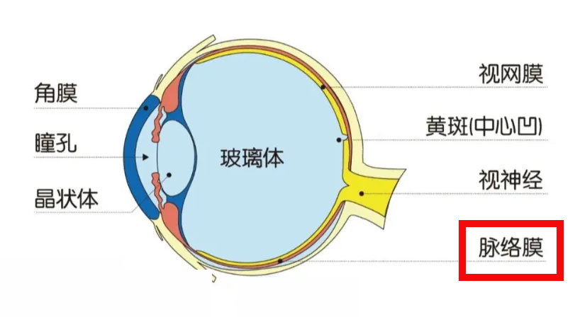 b38baea25b2f3a0538d0c7c7af75255e.png b38baea25b2f3a0538d0c7c7af75255e.png